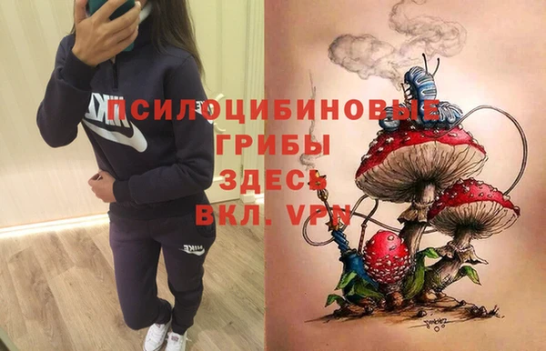 2c-b Алзамай